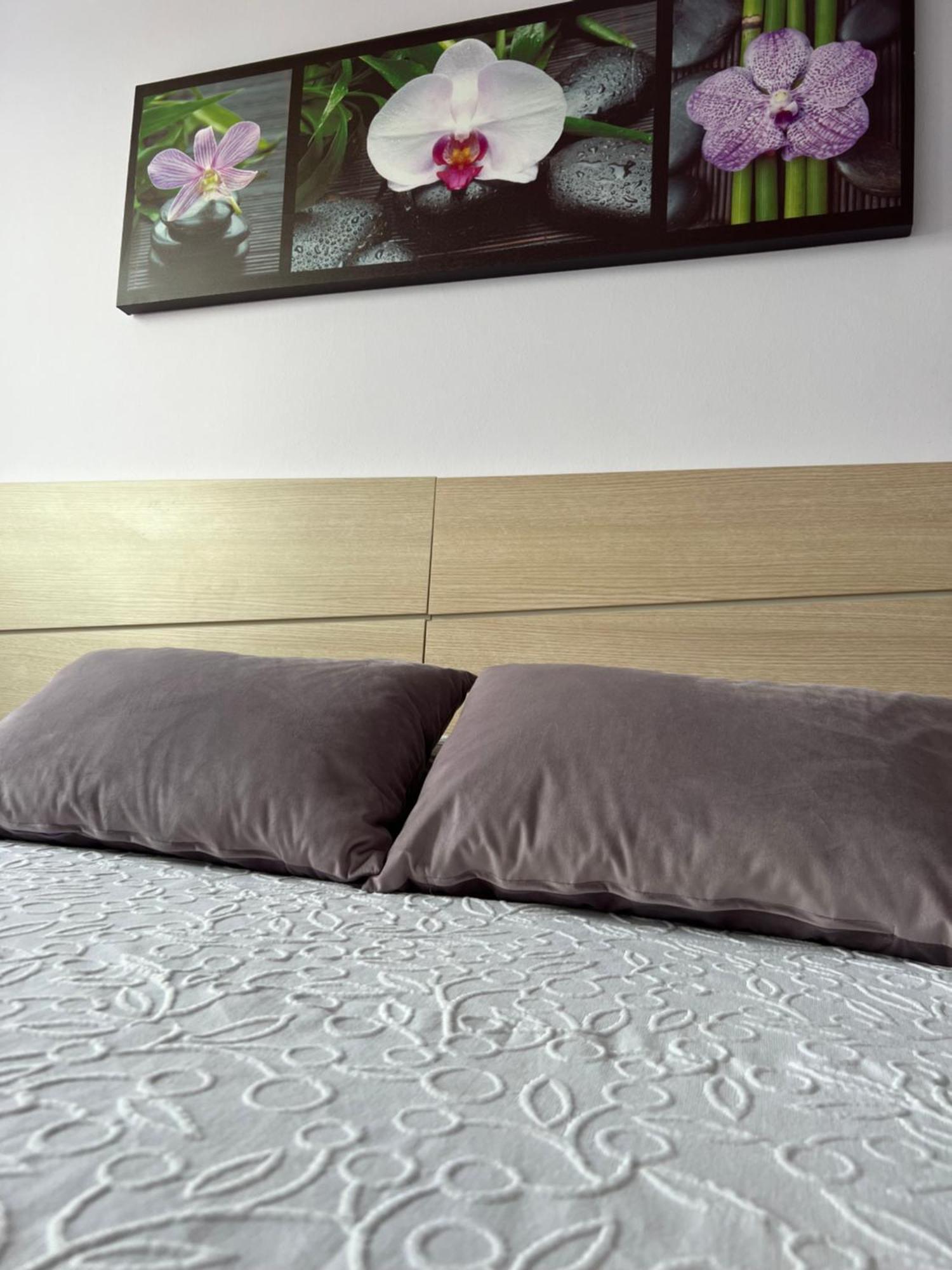 Marusia Apartamento Malpica Εξωτερικό φωτογραφία
